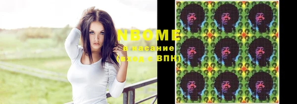 стаф Алзамай
