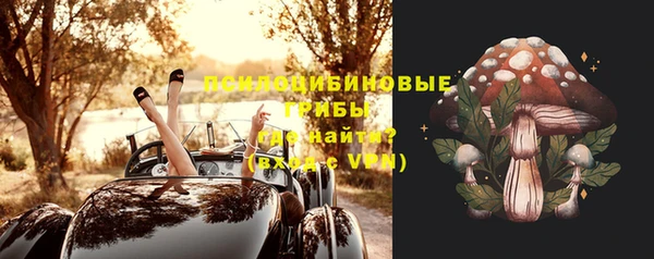 стаф Алзамай