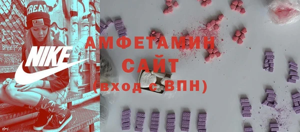 стаф Алзамай