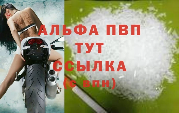 стаф Алзамай