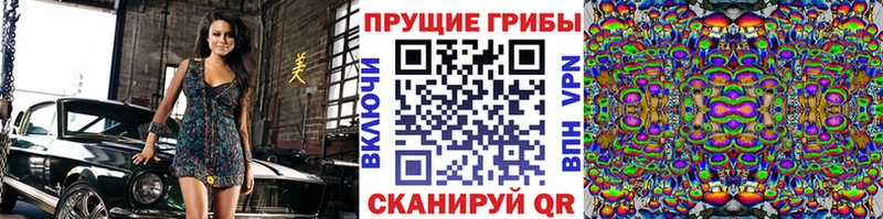 Галлюциногенные грибы MAGIC MUSHROOMS  где продают наркотики  Сураж 